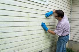 Best Vinyl Siding Installation  in Moore Haven, FL